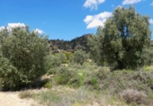 Non-developable land for sale in Maella ref: TR396118 photo