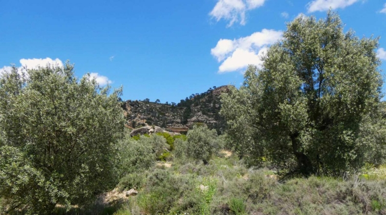 Zaragoza - Maella - 53300m2