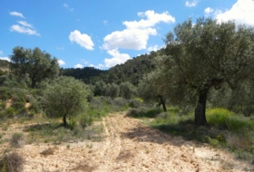 Maella 53300&nbsp;м²