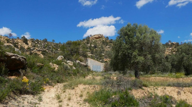 Zaragoza - Maella - 53300m2