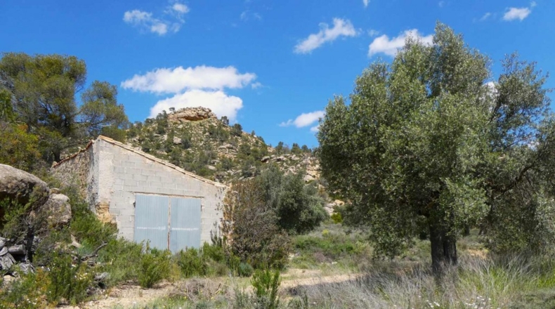 Zaragoza - Maella - 53300m2
