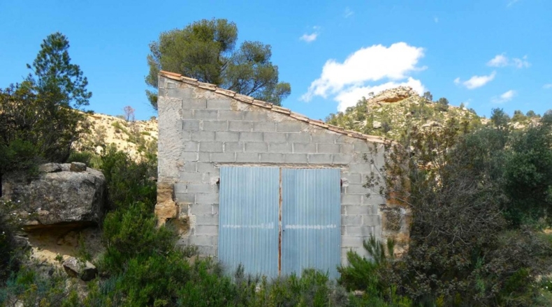 Zaragoza - Maella - 53300m2