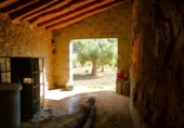 Non-developable land for sale in Maella ref: TR396118 photo