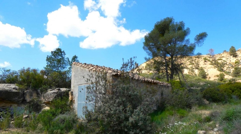 Zaragoza - Maella - 53300m2