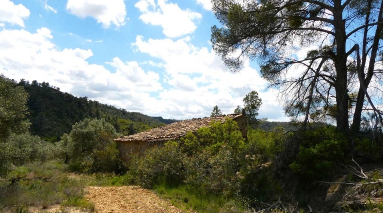 Zaragoza - Maella - 53300m2