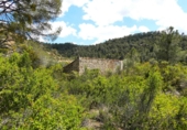 Non-developable land for sale in Maella ref: TR396118 photo