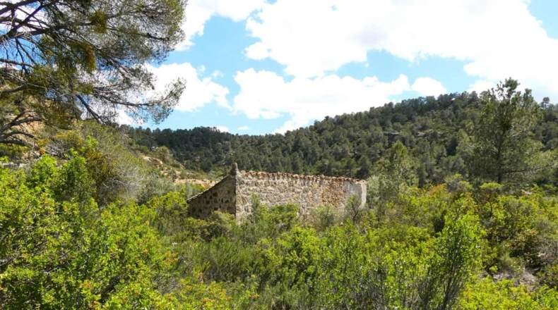 Zaragoza - Maella - 53300m2