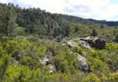Non-developable land for sale in Maella ref: TR396118 photo