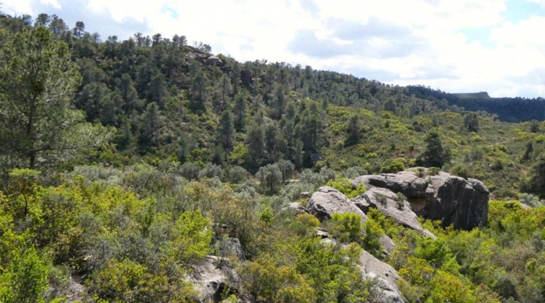 Zaragoza - Maella - 53300m2