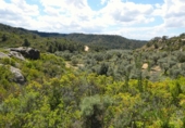 Non-developable land for sale in Maella ref: TR396118 photo