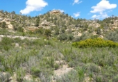 Non-developable land for sale in Maella ref: TR396118 photo