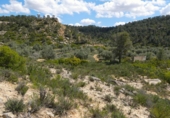 Non-developable land for sale in Maella ref: TR396118 photo