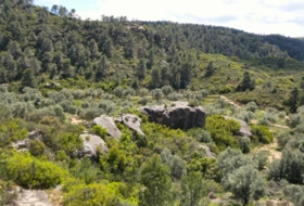 Maella 53300&nbsp;м²