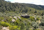 Non-developable land for sale in Maella ref: TR396118 photo