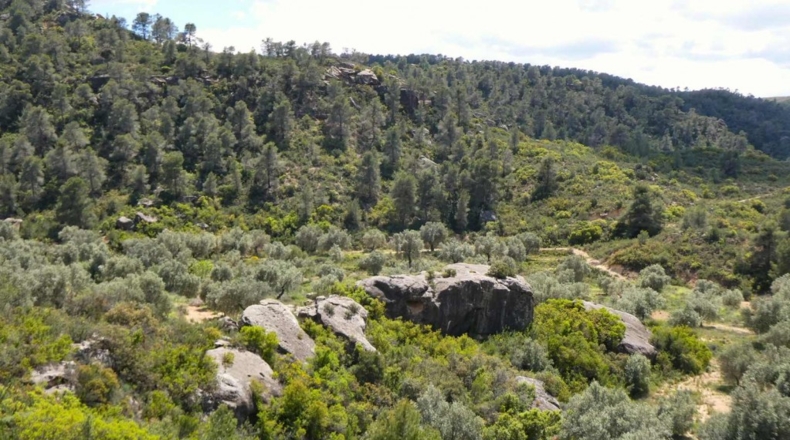Zaragoza - Maella - 53300m2