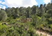 Non-developable land for sale in Maella ref: TR396118 photo