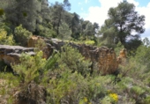 Non-developable land for sale in Maella ref: TR396118 photo