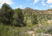 Non-developable land for sale in Maella ref: TR396118 photo