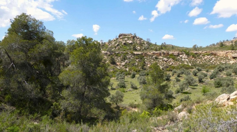 Zaragoza - Maella - 53300m2