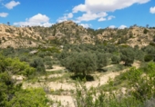 Non-developable land for sale in Maella ref: TR396118 photo