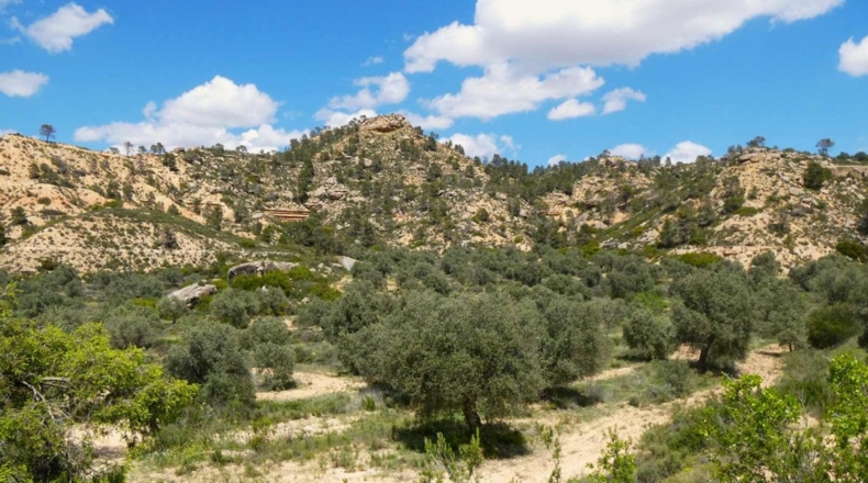 Zaragoza - Maella - 53300m2