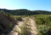 Non-developable land for sale in Maella ref: TR396118 photo