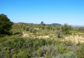 Non-developable land for sale in Maella ref: TR396118 photo