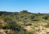 Non-developable land for sale in Maella ref: TR396118 photo