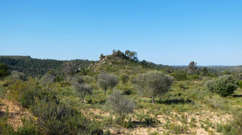 Zaragoza - Maella - 53300m2