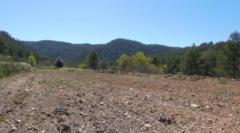 Tarragona - Касерес - 7000m2