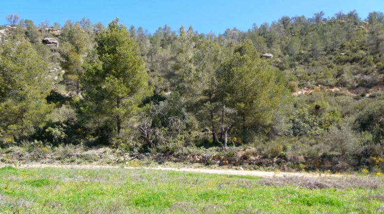 Tarragona - Касерес - 7000m2