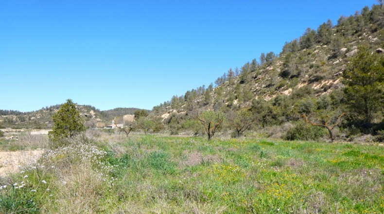 Tarragona - Касерес - 7000m2