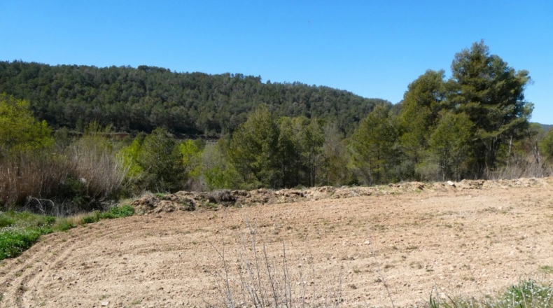 Tarragona - Касерес - 7000m2