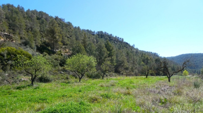 Tarragona - Касерес - 7000m2