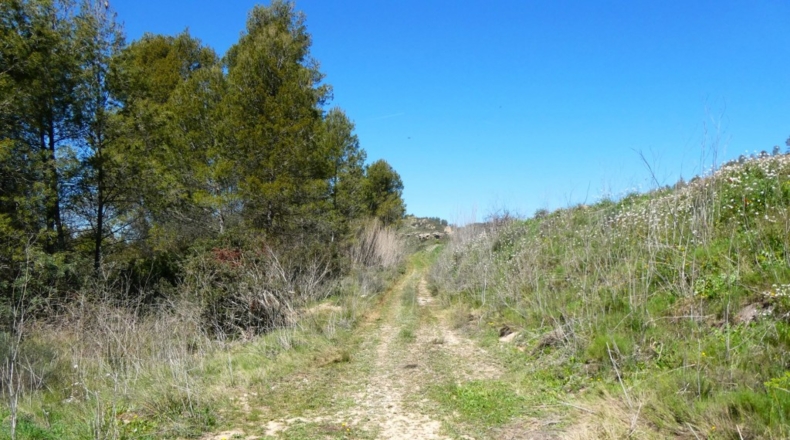 Tarragona - Касерес - 7000m2