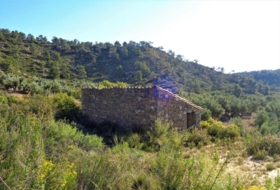 Maella 25600&nbsp;м²