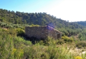 Terreny no urbanitzable en venda a Maella ref.: TR396113 foto