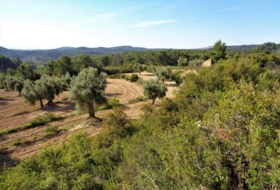 Maella 25600&nbsp;м²