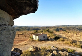 Foto 15