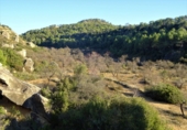 Terreny no urbanitzable en venda a Maella ref.: TR396115 foto