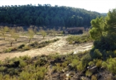 Terreny no urbanitzable en venda a Maella ref.: TR396115 foto