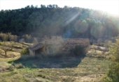 Terreny no urbanitzable en venda a Maella ref.: TR396115 foto