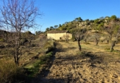 Terreny no urbanitzable en venda a Maella ref.: TR396115 foto