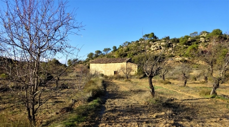 Zaragoza - Маэлья - 50300m2