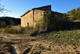 Maella 50300&nbsp;м²