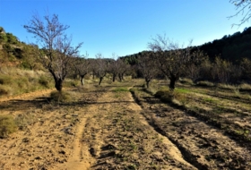 Maella 50300&nbsp;м²