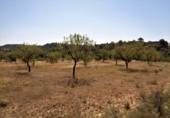Terreno no urbanizable en venta en Maella ref: TR396116 foto