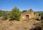 Terreno no urbanizable en venta en Maella ref: TR396116 foto