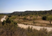 Terreno no urbanizable en venta en Maella ref: TR396116 foto