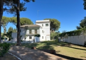 Rural estate for sale in Arcos de la Frontera ref: TR396180 photo